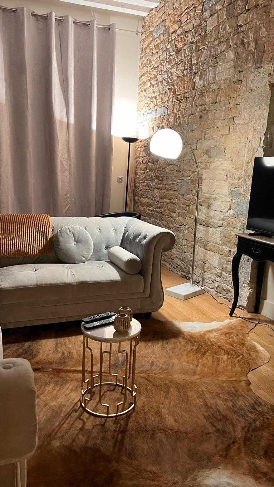Le Panorama Apartment Lyon Exterior foto